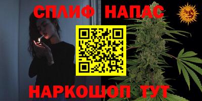 прущие грибы Малоярославец