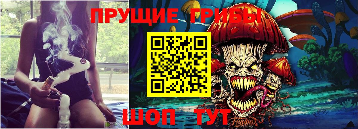Галлюциногенные грибы Magic Shrooms Тара