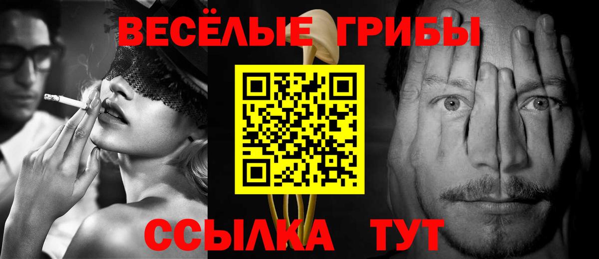Альфа ПВП Тара